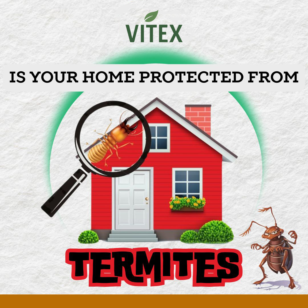 Termite Killer Spray - Effective Pest solution for your home
