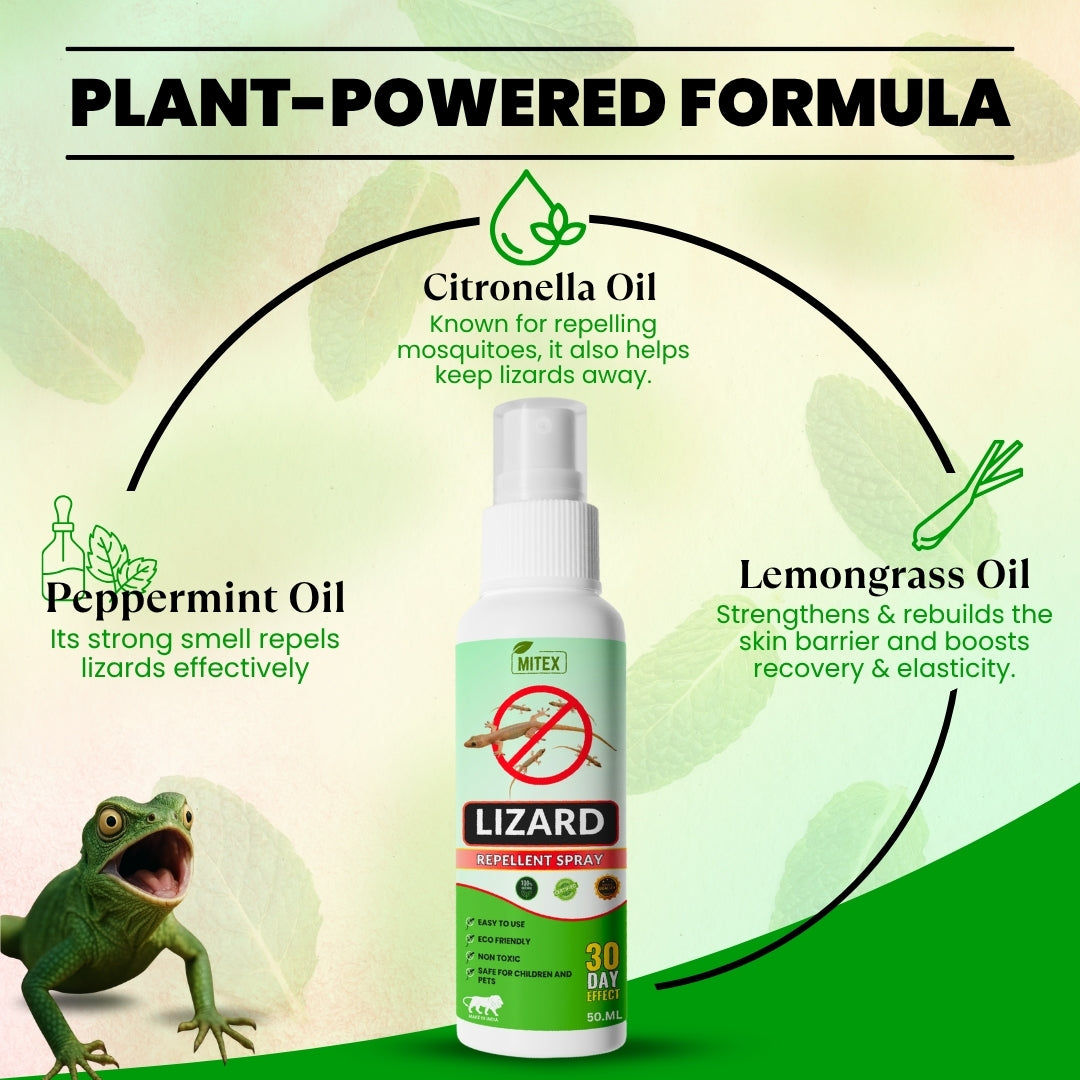 Lizard Repellent Spray - Protect your home from Pest, mite & insects image 3