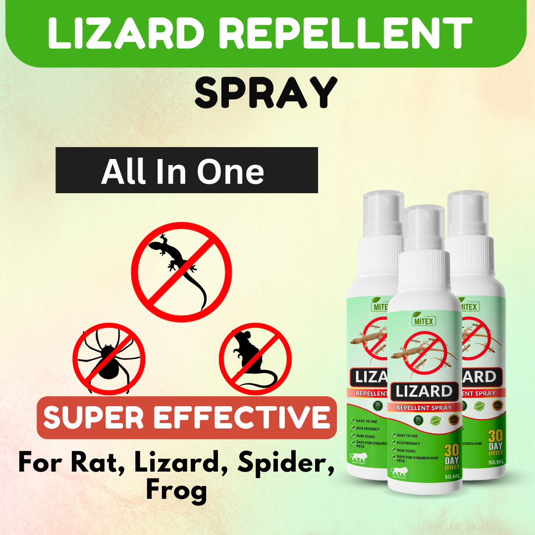 Lizard Repellent Spray - Protect your home from Pest, mite & insects image 2