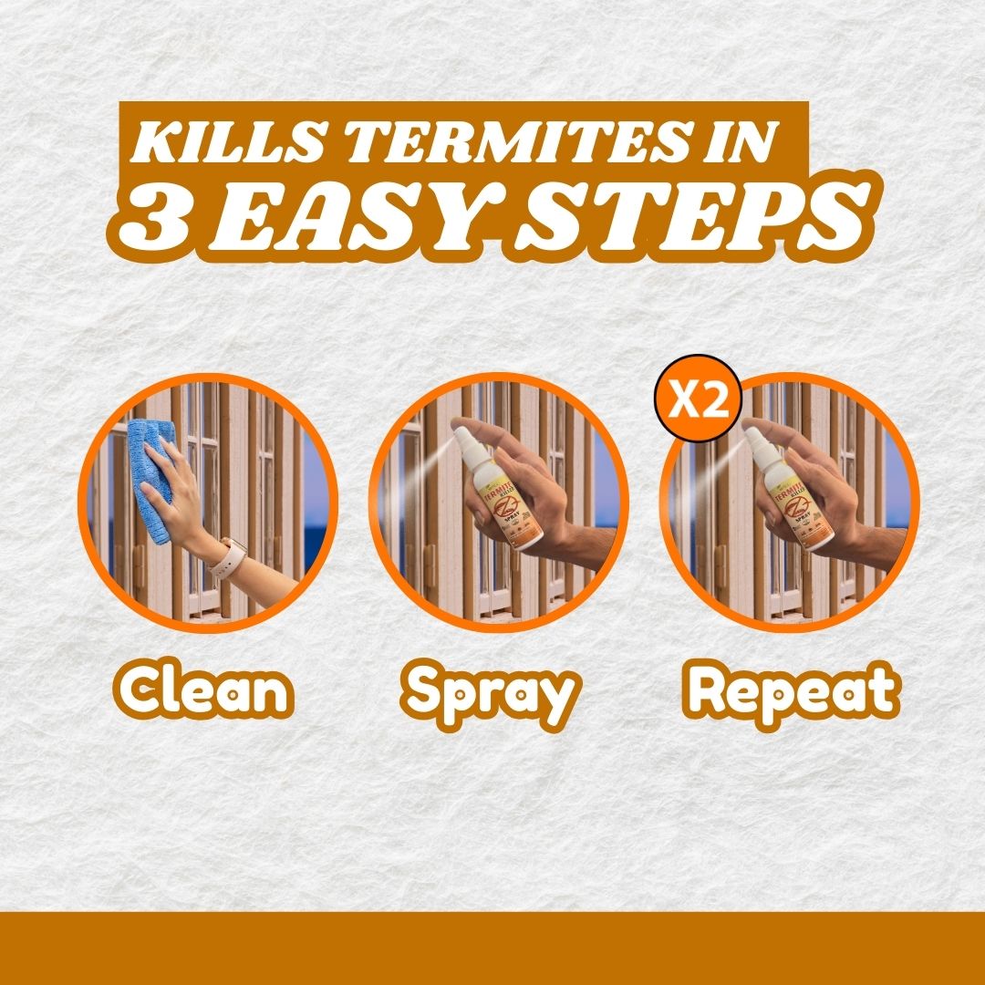 Termite Killer Spray image 6