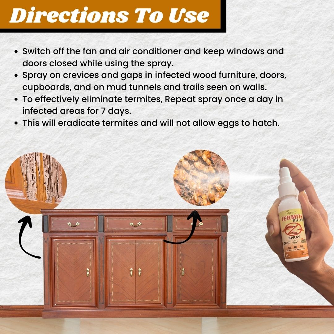 Termite Killer Spray image 9