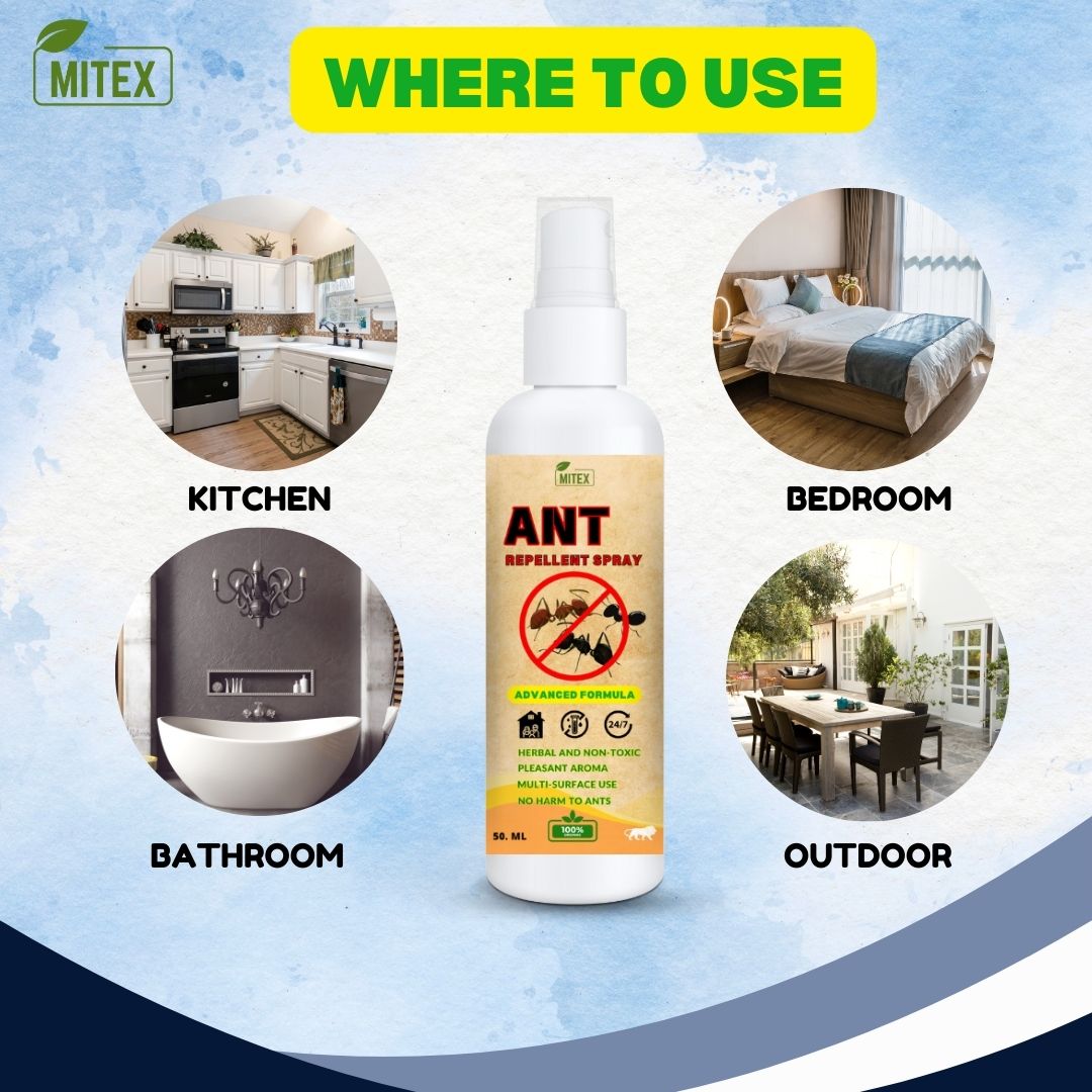 Ant Repellent Spray - BUY 1 GET 2 FREE image 2